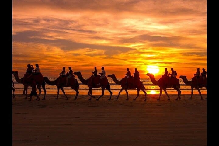 Sunset Camel Ride and BBQ Along Agadir's Souss River photo 3