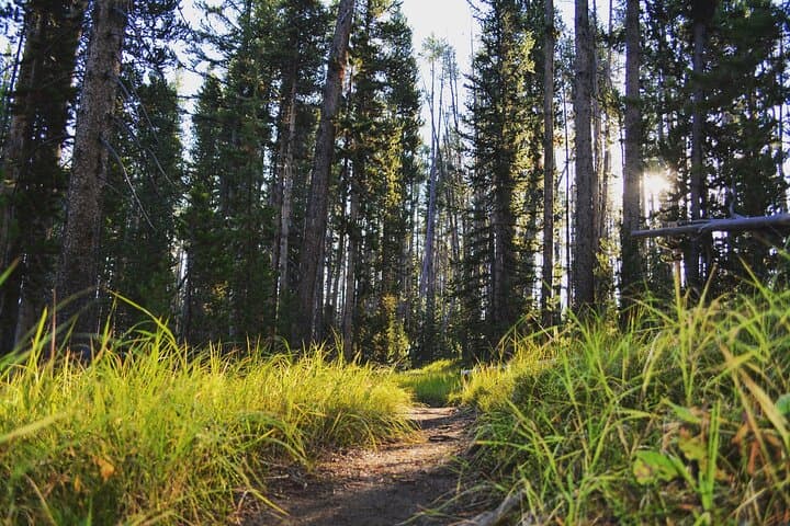 Private Full-Day Grand Canyon of Yellowstone Hiking Adventure photo 3