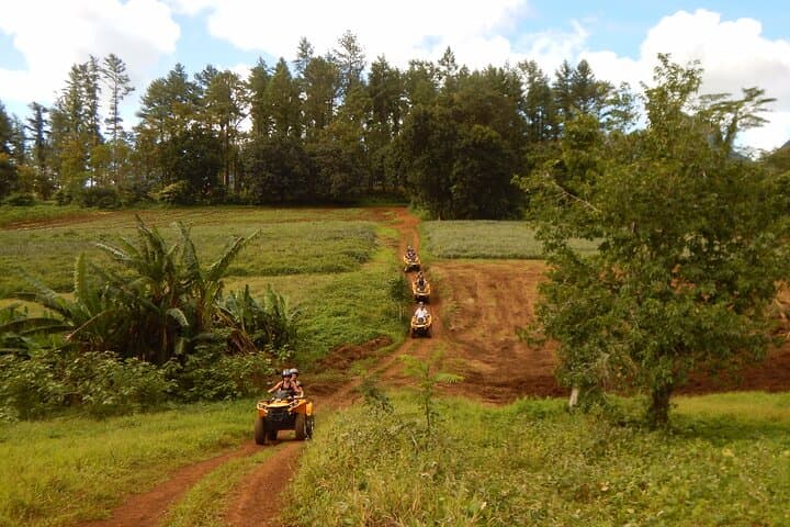 Moorea Combo: Quad Trails and Jetski Blues from Opunohu Bay photo 3