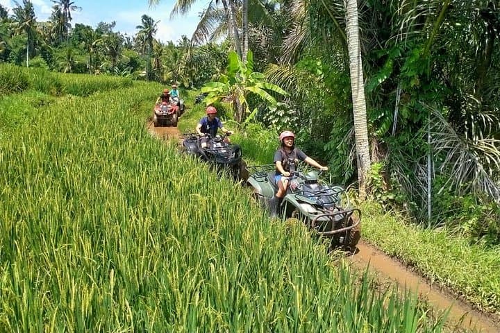 Ubud ATV Quad Bike Adventure: Ride Rivers, Rice Fields & Village Tracks photo 2