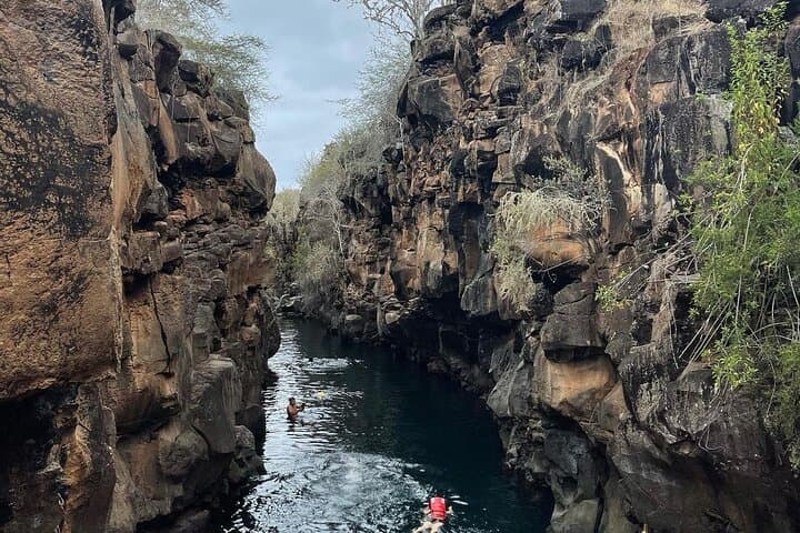 Galapagos 4-Day Classic: Las Grietas, Tortuga Bay & Darwin Station photo 3