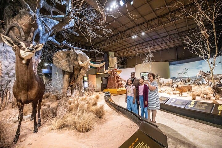 Anniston and East Central Alabama Multi-Attraction Pass — Cheaha, Museums & Motorsports photo 4