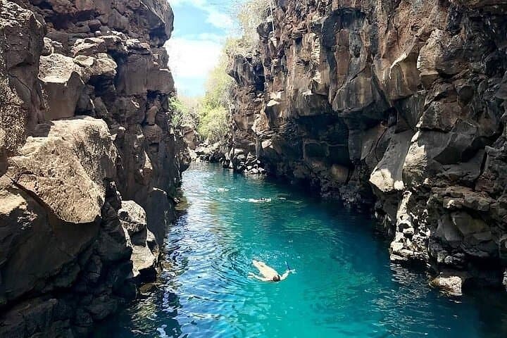 5-Day Galapagos Extreme: Santa Cruz & Isabela Island Wildlife Adventure photo 5