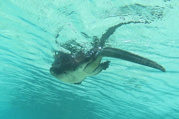 5-Day Galapagos Extreme: Santa Cruz & Isabela Island Wildlife Adventure photo 2
