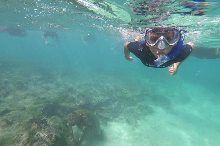 5-Day Galapagos Extreme: Santa Cruz & Isabela Island Wildlife Adventure