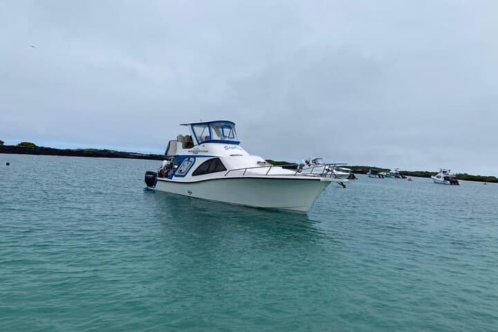 Santa Cruz to San Cristobal Island Transfer — Galápagos Inter-Island Boat Shuttle photo 3