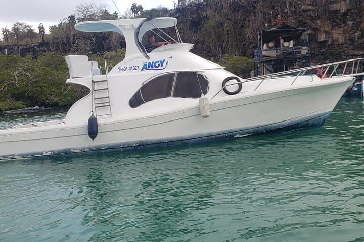 Isabela to Santa Cruz Island Transfer — Galápagos Maritime Shuttle Guide