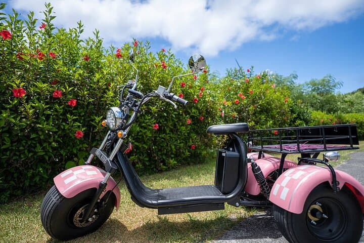 Electric Trike Adventure on Ishigaki Island — 2-Hour Coastal Ride photo 2