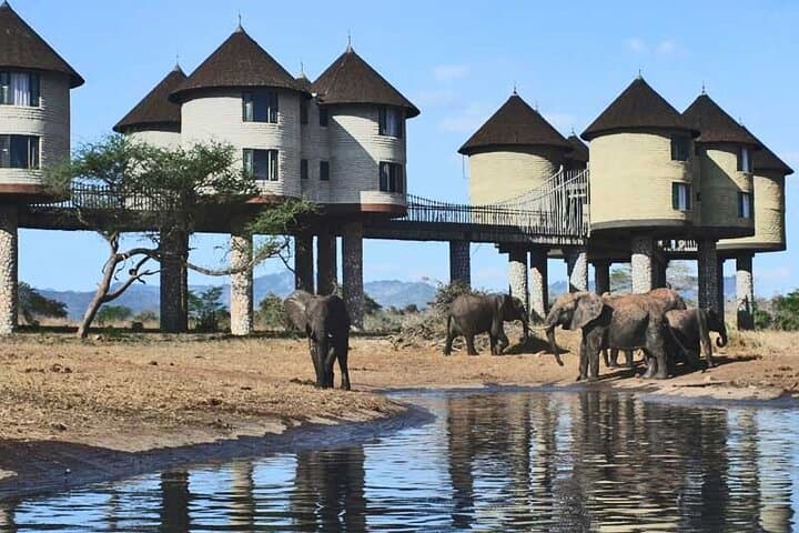 2-Day Saltlick Safari — Taita Hills Game Drives from Diani photo 5