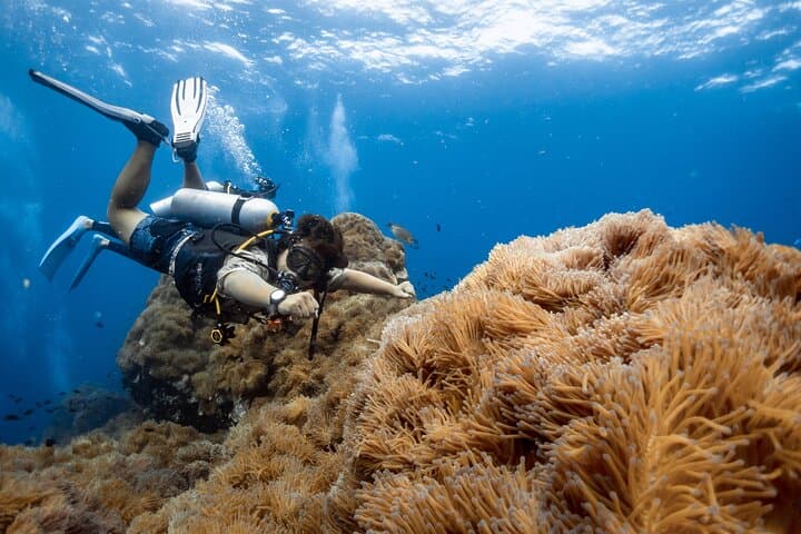Koh Tao Open Water Course — 3-Day Scuba Certification on Thailand’s Best Reefs photo 3