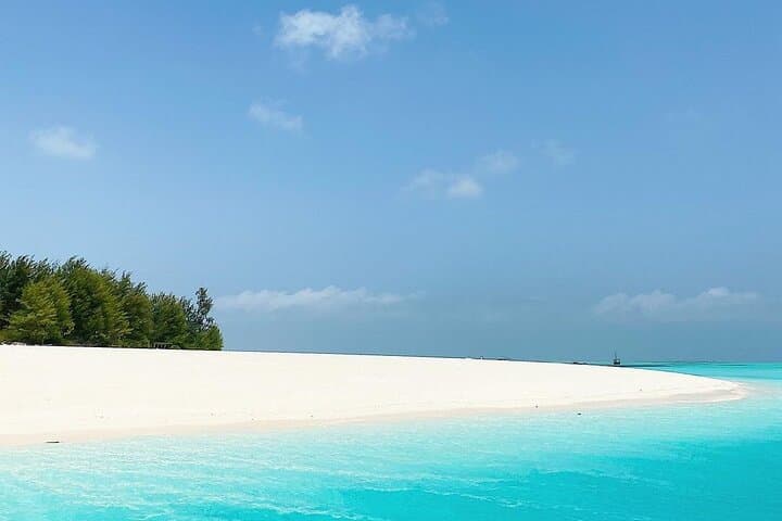 Zanzibar Mnemba Island Snorkel, Dolphin Swim & The Rock Sunset Tour photo 4