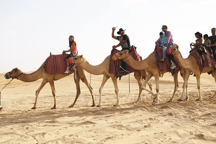 Evening Dubai Desert Safari with Dune Bashing & BBQ photo 5
