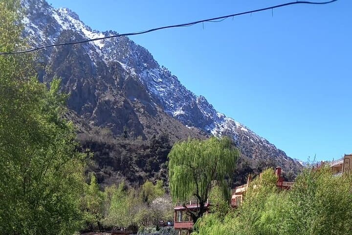Ourika Valley & Atlas Mountains Day Trip from Marrakech — Setti Fatma Waterfalls photo 3
