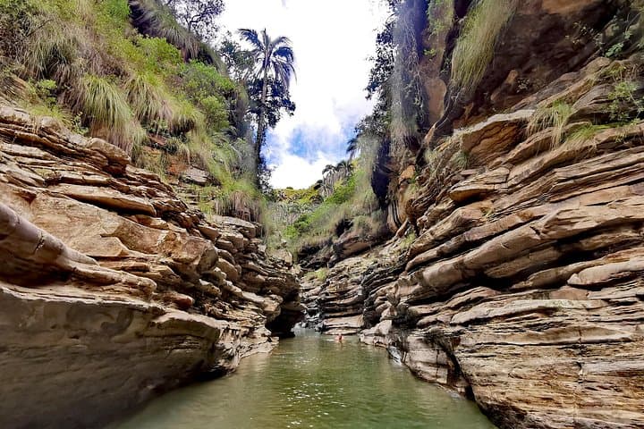 El Palmar Hiking Tour from Sucre — High-Elevation Palms, Andean Wildlife & Community Stays photo 2