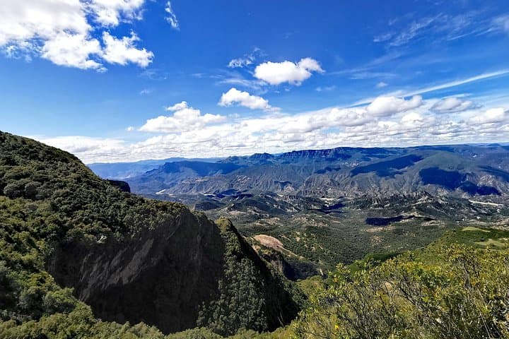 El Palmar Hiking Tour from Sucre — High-Elevation Palms, Andean Wildlife & Community Stays photo 4