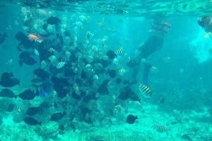 Cancun Jet Ski and Snorkel Adventure — Nichupté Lagoon to Meco Reef photo 3