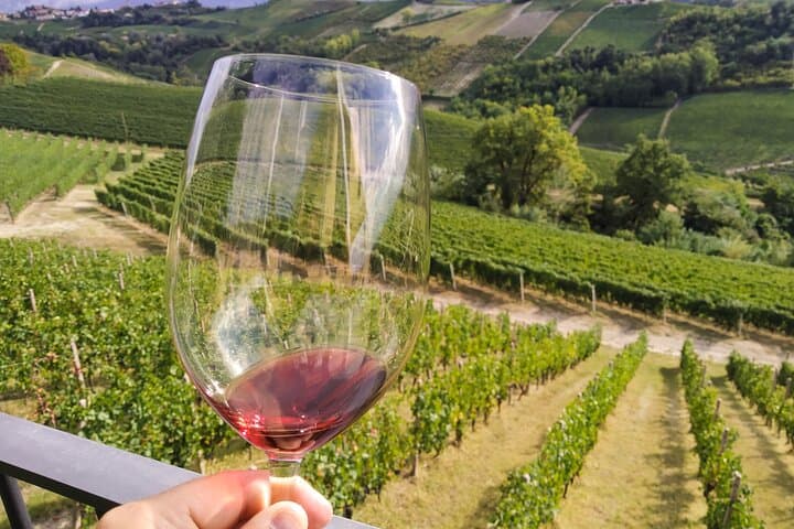 E‑bike Tour in Langhe del Barbaresco — 40 km Asphalt Ride from Alba photo 2