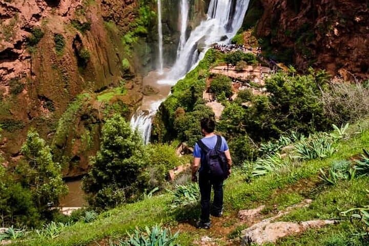 Ouzoud Waterfalls Day Trip from Marrakech — Hike, Monkeys & Tagines photo 3