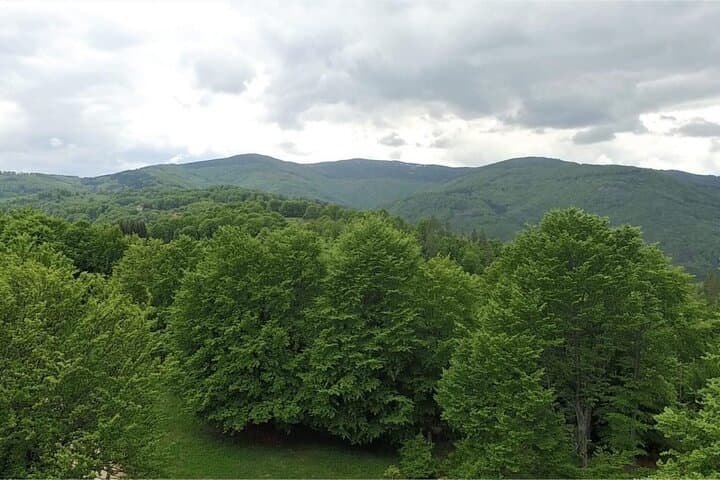 Sofia Day Trip to Osogovo Monastery: Cross-Border Drive to Serbia & North Macedonia photo 6