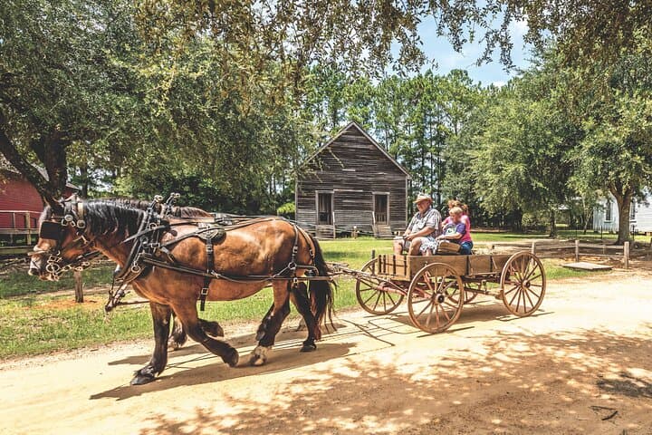 Explore Blue Springs, Fendall Hall & Landmark Park: Dothan-Eufaula Multi-Attraction Pass photo 2