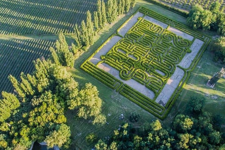 Between Vines and Verses: Mendoza's Borges Labyrinth Wine Tour