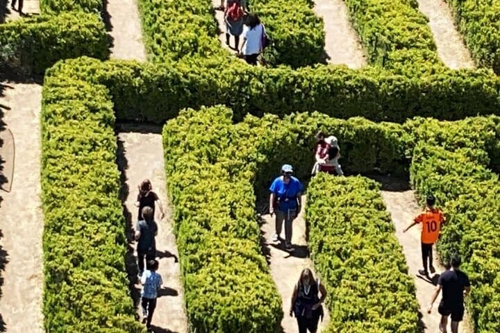 Between Vines and Verses: Mendoza's Borges Labyrinth Wine Tour photo 3