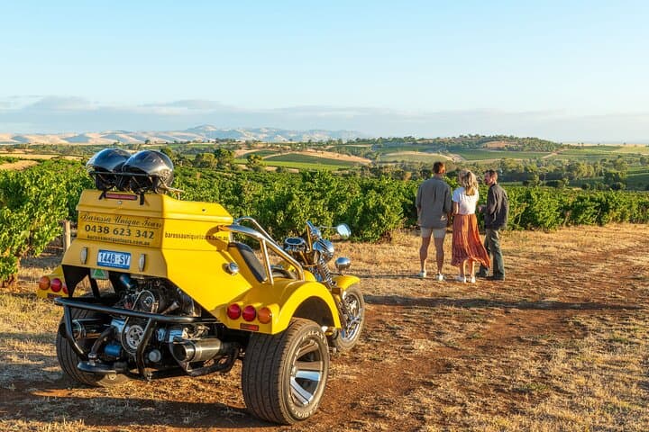 Barossa Valley Trike Wine Tour — Private Half‑Day Trike Experience for Two