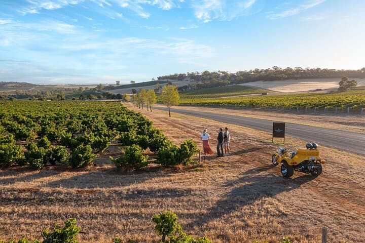 Barossa Valley Trike Wine Tour — Private Half‑Day Trike Experience for Two photo 3