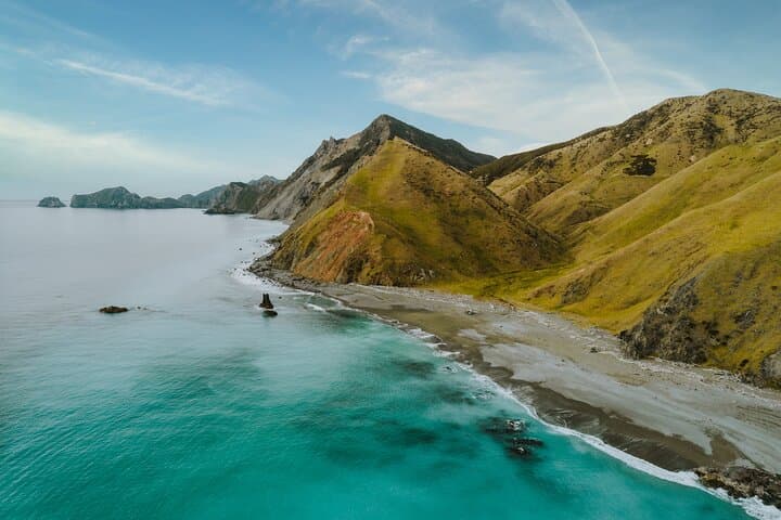 Marlborough Sounds Scenic Helicopter Flight from Picton photo 3