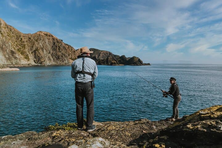 Heli-Fish Marlborough Sounds: D'Urville Island Catch-and-Dine Experience photo 3