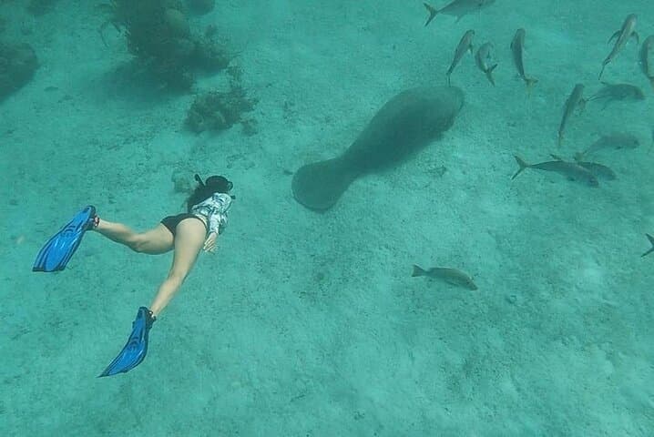 Private Snorkeling Hol Chan Marine Reserve & Shark Ray Alley – Ambergris Caye photo 6