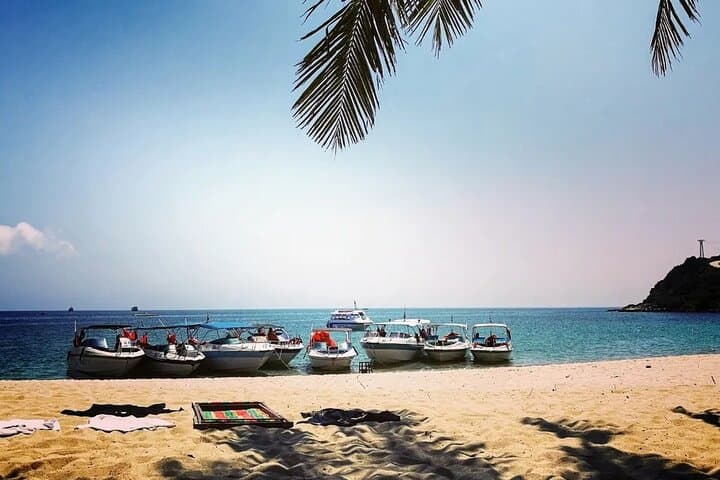 Cham Islands Day Tour from Hoi An — Snorkel Cu Lao Cham Marine Park
