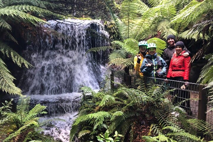 Mt Wellington Summit Descent & Rainforest Rainforest Bike Tour — Hobart Adventure photo 2
