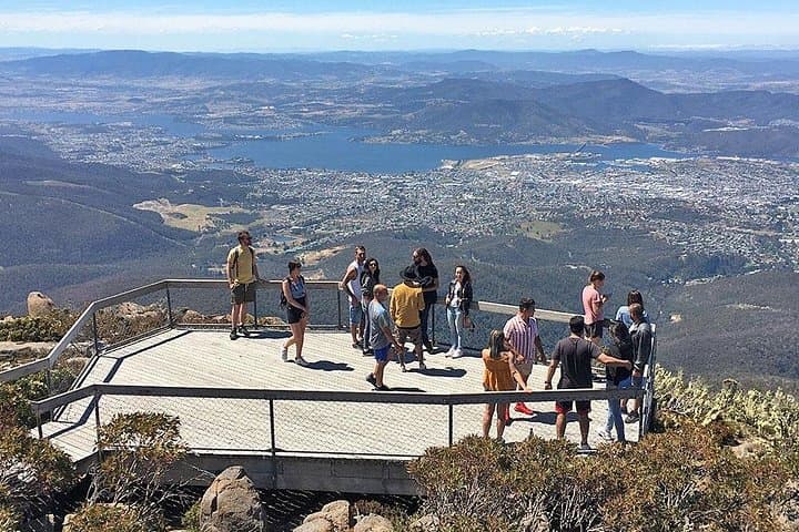 Mt Wellington Summit Descent & Rainforest Rainforest Bike Tour — Hobart Adventure photo 4