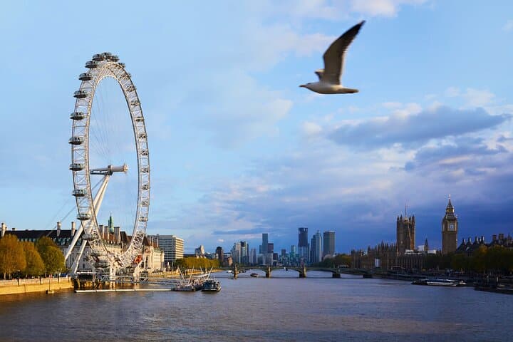 Skip-the-Line London Eye Fast-Track Experience: 30-Minute Capsule & 4D photo 3