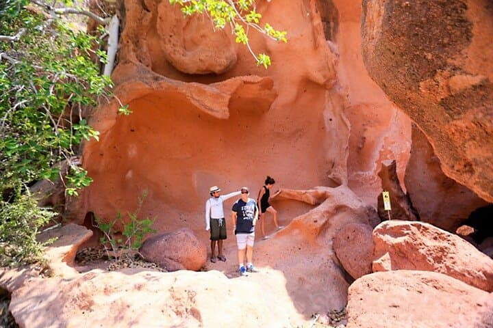 Espiritu Santo Island Snorkel & Beach Day from Los Cabos photo 5