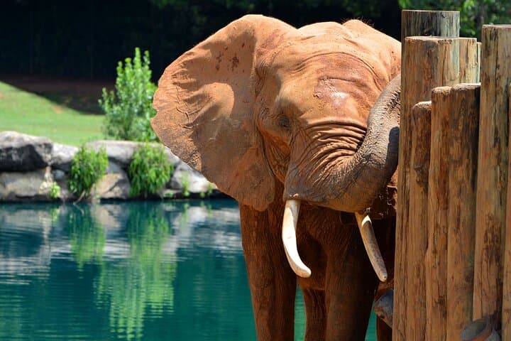 Montgomery Multi-Attraction Pass: Explore Civil Rights History, Museums & Zoo photo 6