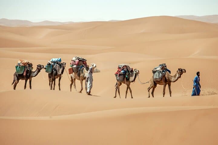5-Day Desert Trek from Marrakech: Sahara Hike & Nomadic Camp in M'Hamid photo 5
