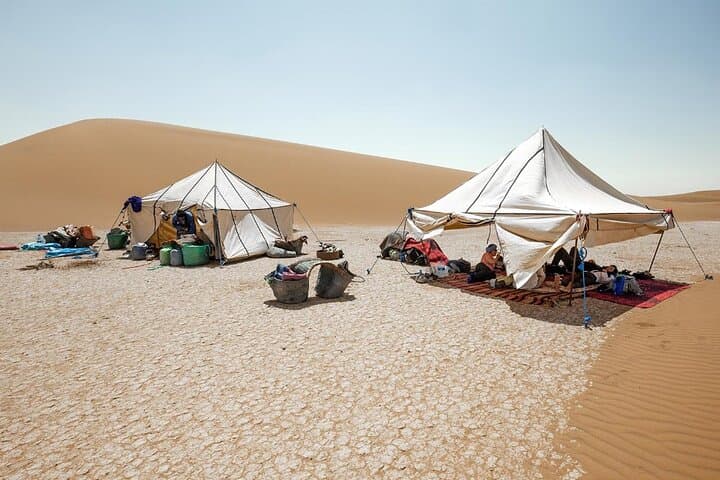 4-Day Sahara Desert Hike from Marrakech to M'hamid — Camel Caravan Trek