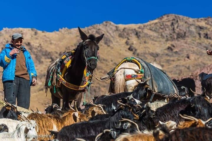 Atlas Mountains Valleys and Berber Villages Day Trip from Marrakech photo 5