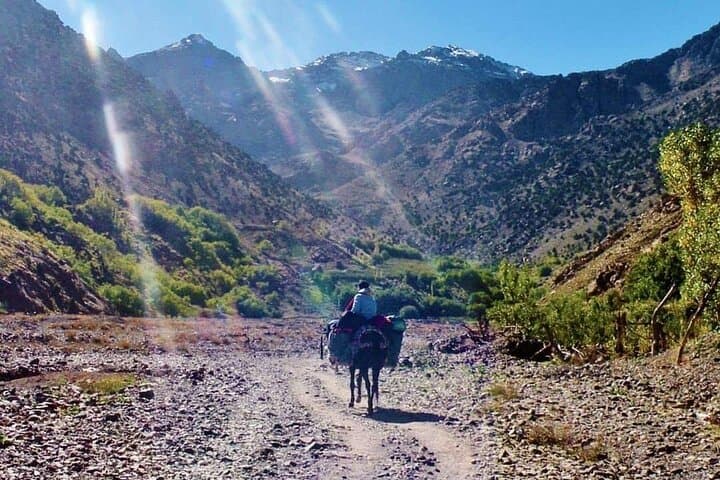 Atlas Mountains Valleys and Berber Villages Day Trip from Marrakech photo 6
