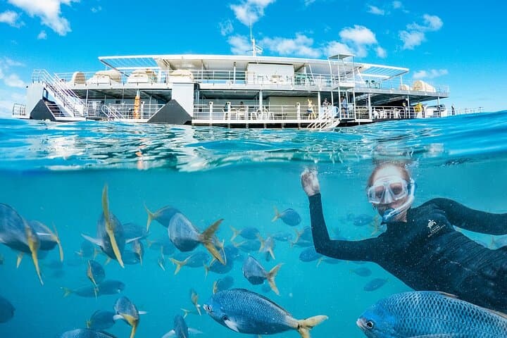 Reefworld at Hardy Reef — Full-Day Great Barrier Reef Adventure from Airlie Beach photo 1