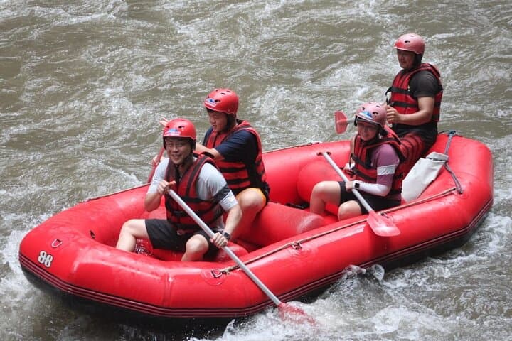 Ayung River Rafting from Ubud: 12km Class II–III Adventure with Hotel Pickup photo 3