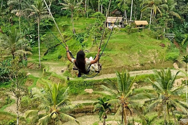Ubud Waterfall, Swing & Tirta Empul: Private Day Tour from South Bali photo 5