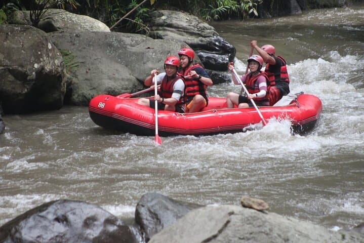 Ayung River Rafting from Ubud: 12km Class II–III Adventure with Lunch and Transfer photo 4