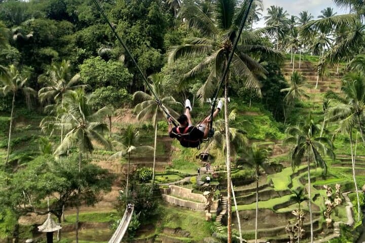 Ubud Waterfall, Swing & Tirta Empul: Private Day Tour from South Bali photo 6
