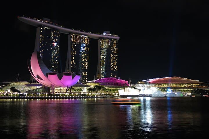 Singapore by Night: Gardens, Marina Bay SkyPark & River Cruise photo 4