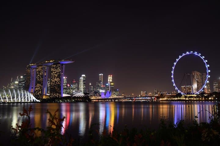Singapore by Night: Gardens, Marina Bay SkyPark & River Cruise photo 6
