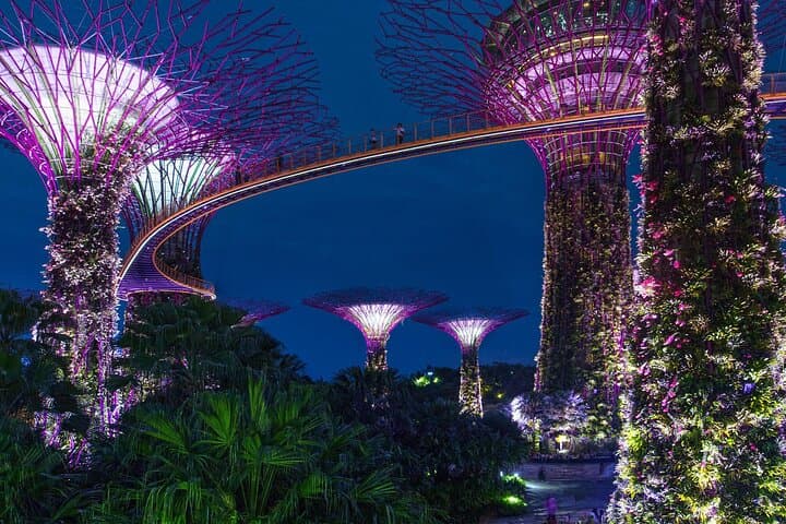 Singapore by Night: Gardens, Marina Bay SkyPark & River Cruise photo 3