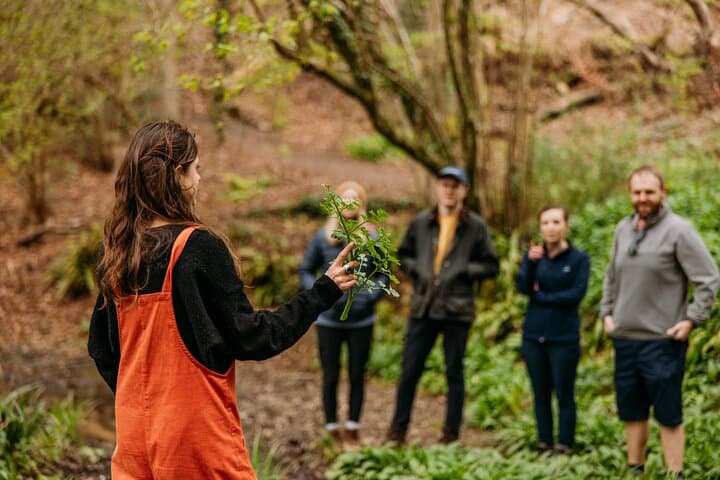 Llangollen Foraging Walk: Learn Wild Plants & Fungi on the Canal